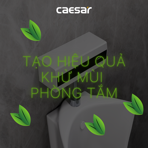 Xả tiểu Caesar A649OZ cảm ứng từ + sát khuẩn ozone