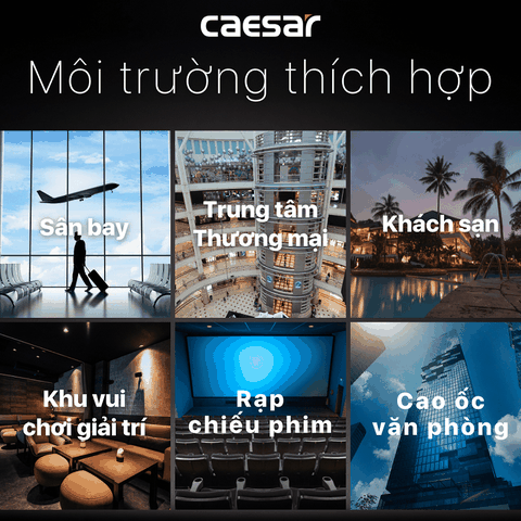 Máy sấy tay Caesar A801 cảm ứng tự động