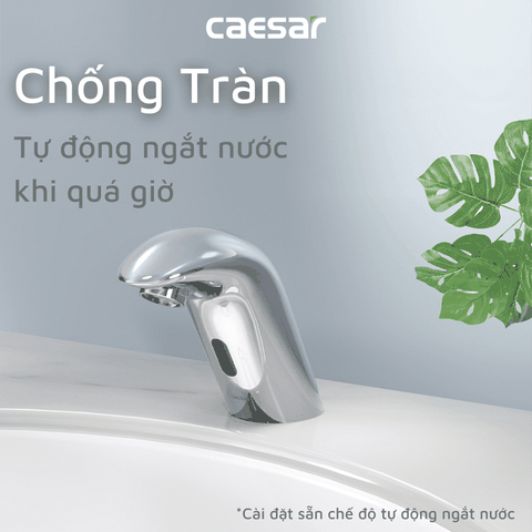 Vòi lavabo chậu rửa mặt Caesar A910 nước lạnh cảm ứng