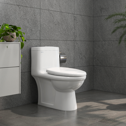 Bàn cầu một khối Viglacera BL5