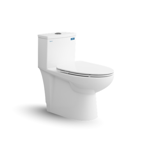 Bàn cầu một khối Viglacera V819