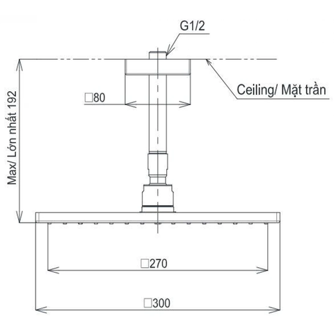 Bát sen gắn trần TOTO TBW08003A1 Vuông 300mm Dòng G