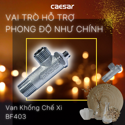 Van khống chế Caesar BF403 xi