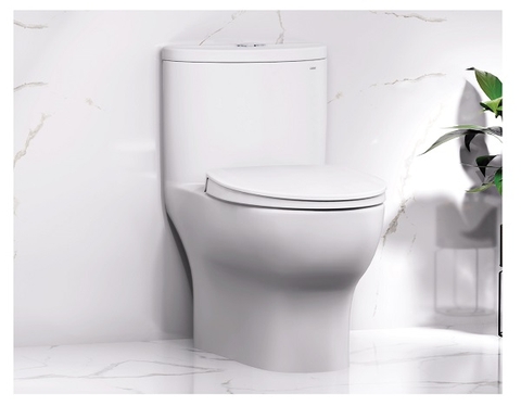 Bồn cầu 1 khối Caesar C1375 nắp êm