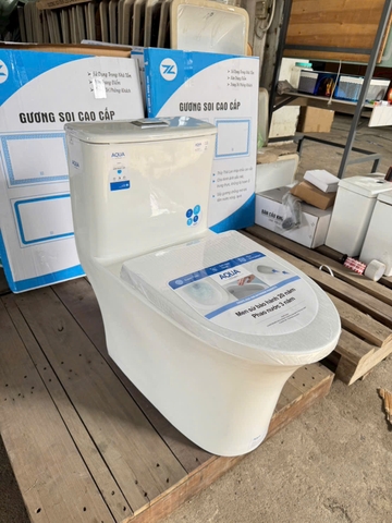 Bồn cầu 1 khối Aqua C-43