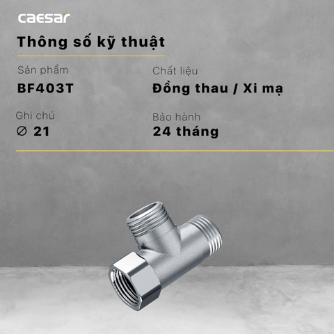 Van khống chế Caesar BF403T (Ø21) 2 Đường Nước
