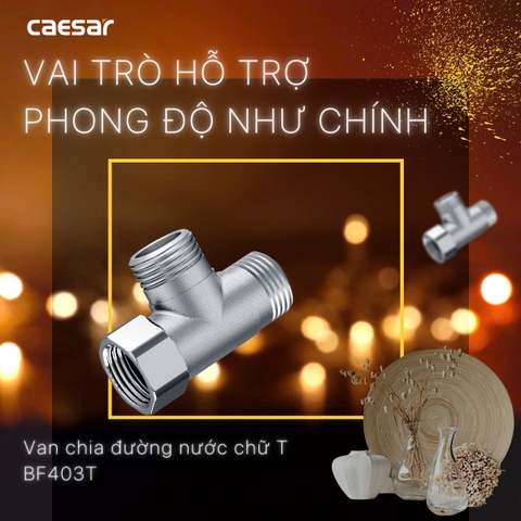 Van khống chế Caesar BF403T (Ø21) 2 Đường Nước