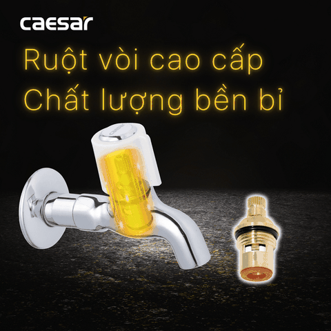 Vòi gắn tường Caesar W037C