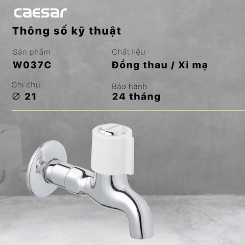 Vòi gắn tường Caesar W037C