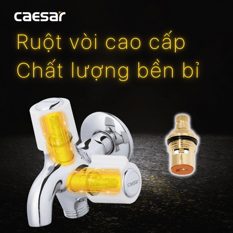 Vòi sen tắm nước lạnh Caesar W038C củ sen si
