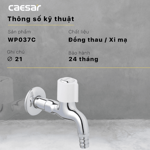 Vòi gắn tường Caesar WP037C