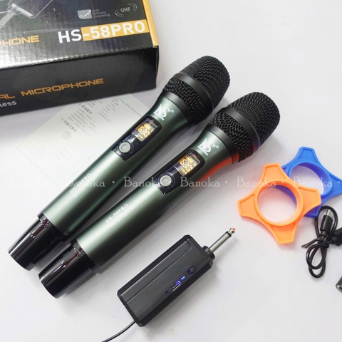 Micro đa năng New Sound HS-58Pro không dây 2 mic