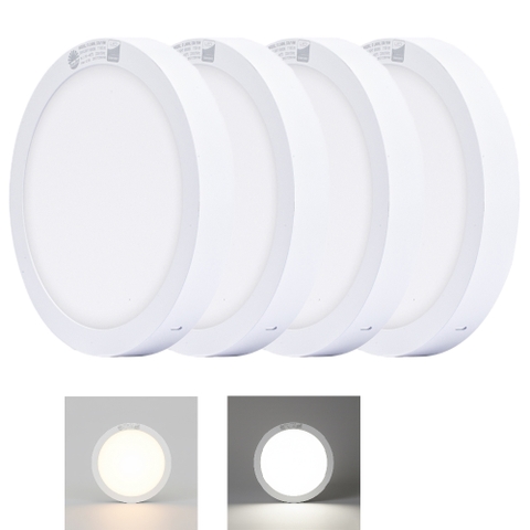 Đèn LED ốp trần LN09 225/18W 3000K SS