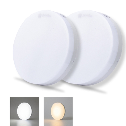 Đèn LED ốp trần LN12N 300/24W 6500K SS