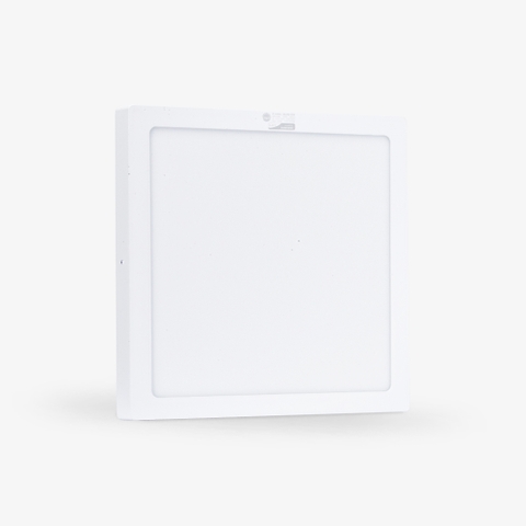 Đèn LED ốp trần LN08 300x300/24W 6500K