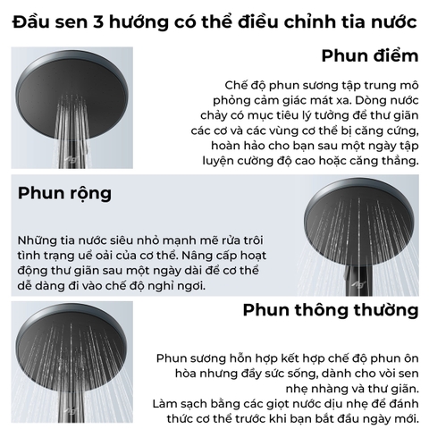 Máy nước nóng U Series DH-4US1VS [Panasonic]