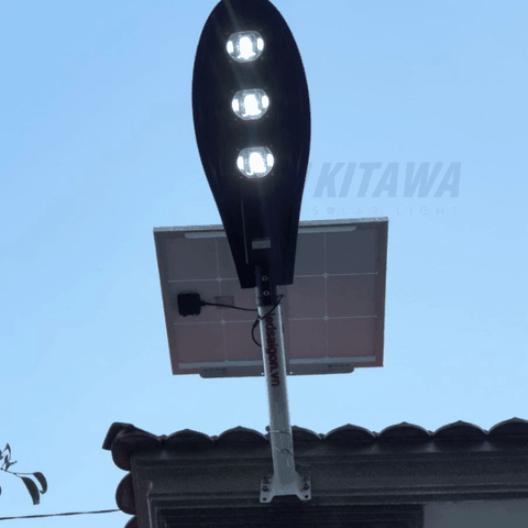 Đèn Đường Năng Lượng Mặt Trời Chiếc Lá CL1150 - Tấm Pin Mono