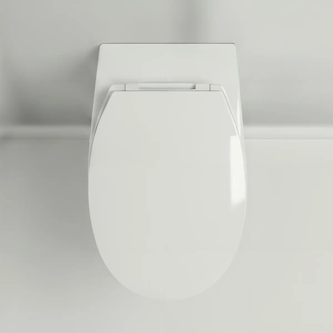 [Hafele] Bồn cầu treo tường Sapporo 540x370x365 588.79.410