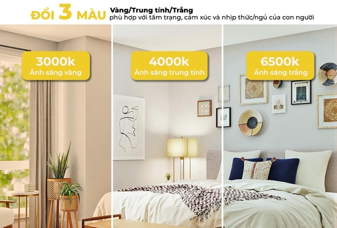 Đèn LED ốp trần LN12N 170x170/12W 6500K SS