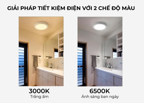 Đèn LED ốp trần LN12N 300/24W 6500K SS