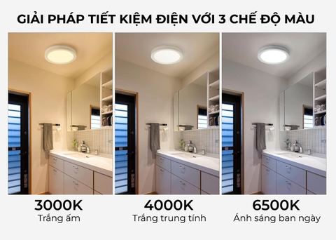 Đèn LED ốp trần LN12N 170/12W 6500K SS