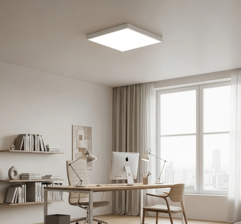 Đèn LED ốp trần LN08 300x300/24W 6500K