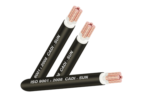 Cáp điện lực hạ thế CXV 3×25+1×16