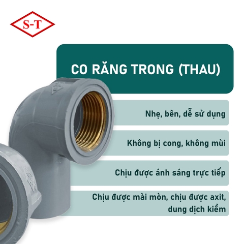 [Siêu Thành] Co Răng Trong (Thau)