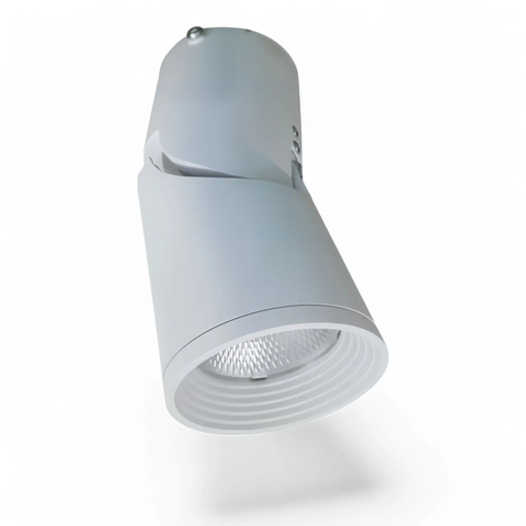 [DUHAL] Đèn Led Gắn Nổi Chiếu Điểm Trang Trí 10W (DIB0105)