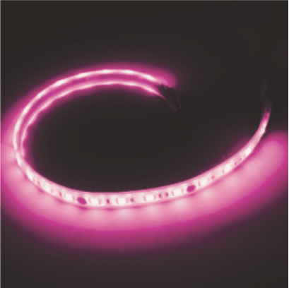 [DUHAL] Led Dây 6W/M – Nhiều Màu Ánh Sáng