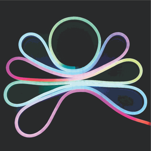 [DUHAL] Led Dây Kiểu Neon Bẻ Góc Hai Chiều 6W/M