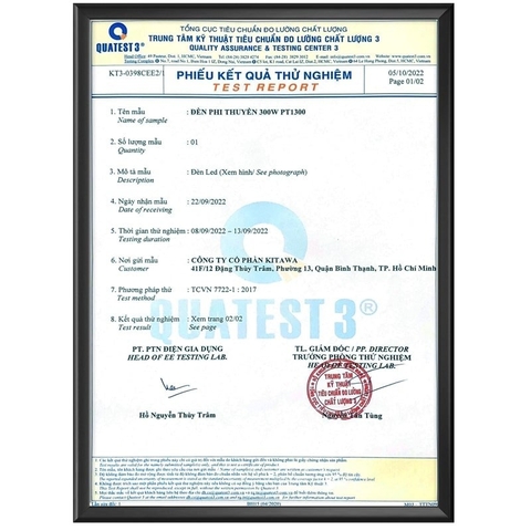 Đèn Đường Năng Lượng Mặt Trời Chiếc Lá CL1150 - Tấm Pin Mono