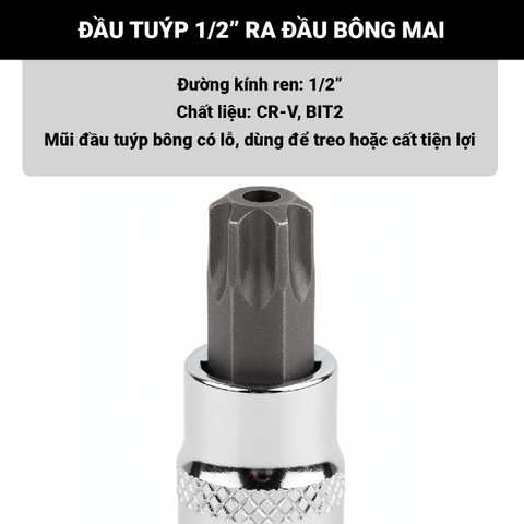 Đầu tuýp 1/2 inch ra đầu bông mai Licota T20 – T55