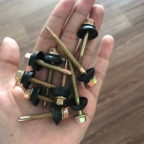 [Dinosaur] Vít tôn gỗ - Ron đen