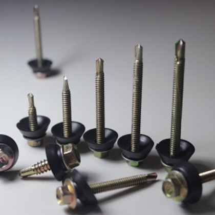 [Dinosaur] Vít tôn sắt - Ron đen