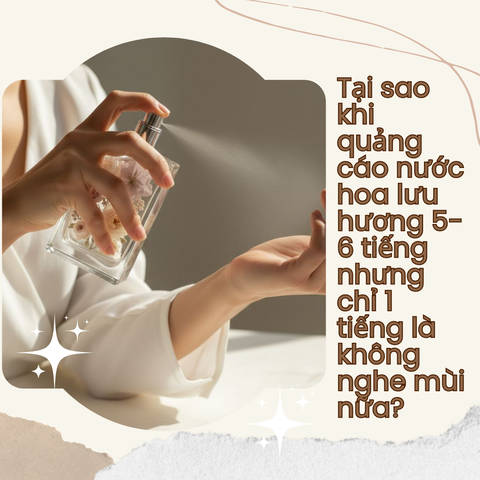 Tại sao khi quảng cáo nước hoa lưu hương 5-6 tiếng nhưng chỉ 1 tiếng là không nghe mùi nữa?