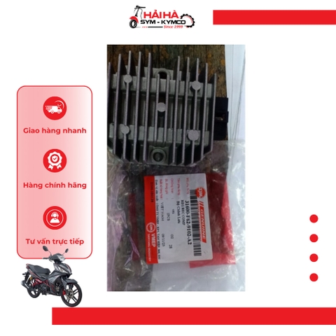 Sạc/ Bộ chỉnh lưu xe StarX mã VE1 [Chính hãng SYM]