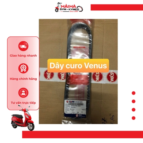 Dây curoa xe Venus mã VJ3 [Chính hãng SYM]