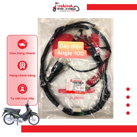 Dây điện Angel 100cc mã VA2 [Chính hãng SYM]