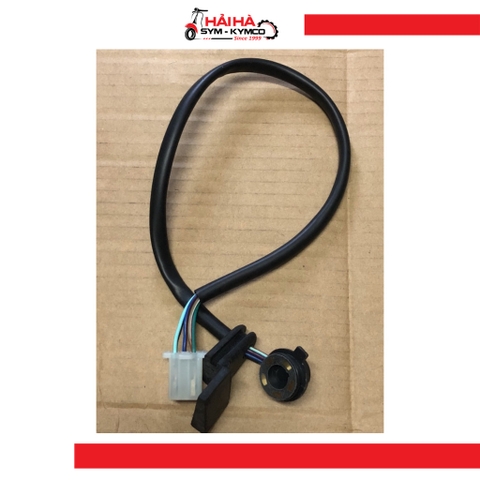 Báo số/ Cụm công tắc báo sau xe Elegant 50cc mã SE1 [Chính hãng SYM]