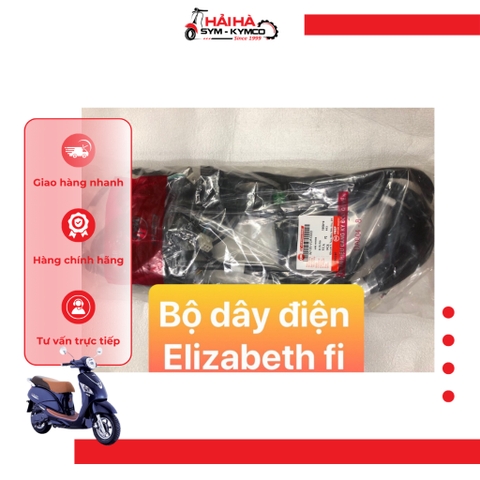 Dây điện xe Elizabeth FI [Chính hãng SYM]