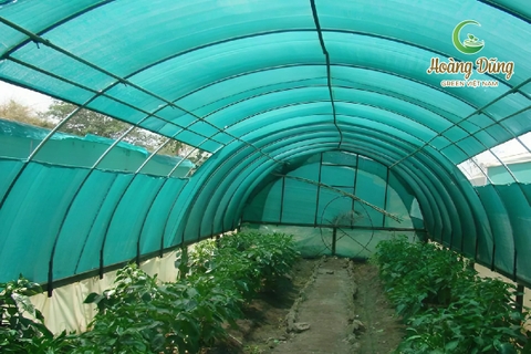 Che Nắng Mưa Cho Sân Thể Thao Ngoài Trời