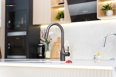 Vòi rửa bát dây rút Nobinox Aqua NX664D