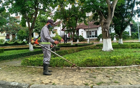 Quy trình chăm sóc cây xanh đúng kỹ thuật cho công trình và cảnh quan