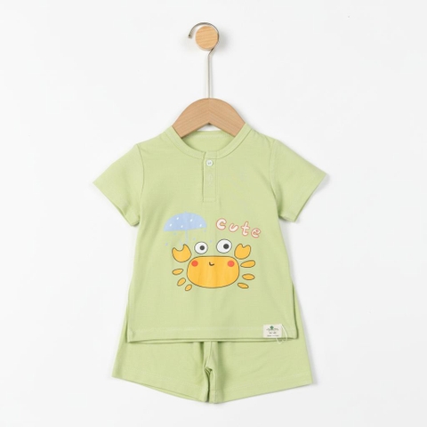 Bộ cotton trẻ em - bé trai B005 9m/36m TS03 Lô 4
