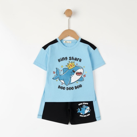 Bộ cotton trẻ em - bé trai B006 2/10