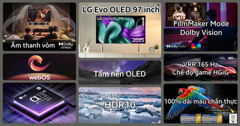 Smart Tivi OLED LG evo AI 4K 97 inch OLED97M5PSA