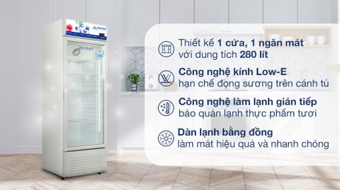 Tủ mát Hoà Phát 280 lít HSR D6280