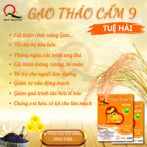 Gạo thảo cẩm 9 Tuệ Hải Quy Nguyên hộp 2kg
