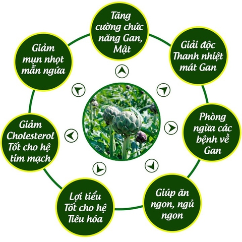 Cao Atiso Mềm 200gr -[Ngọc Duy]